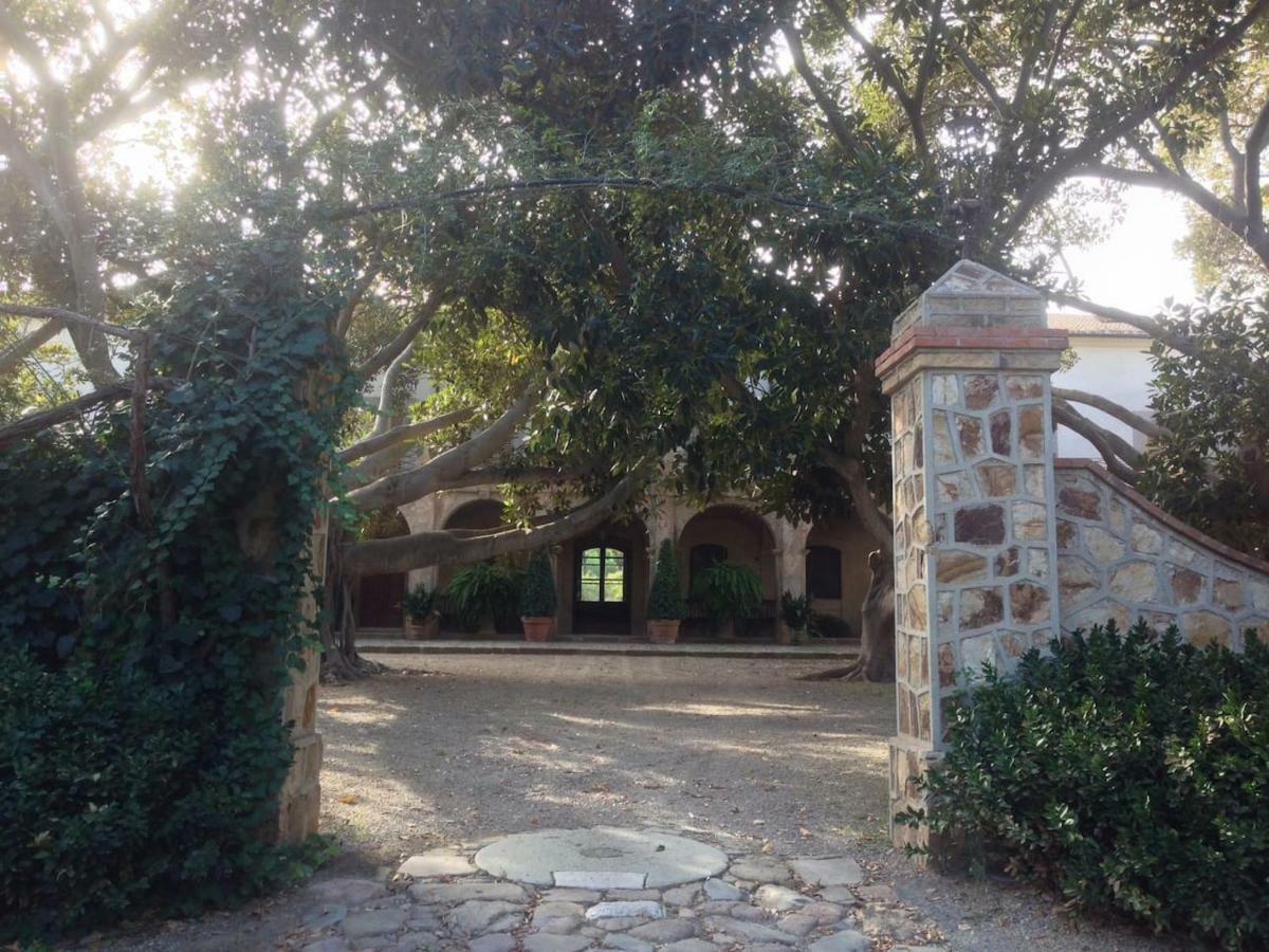 Suite A Villa D'Orri Sarroch Kültér fotó